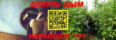 Альфа ПВП Волгодонск