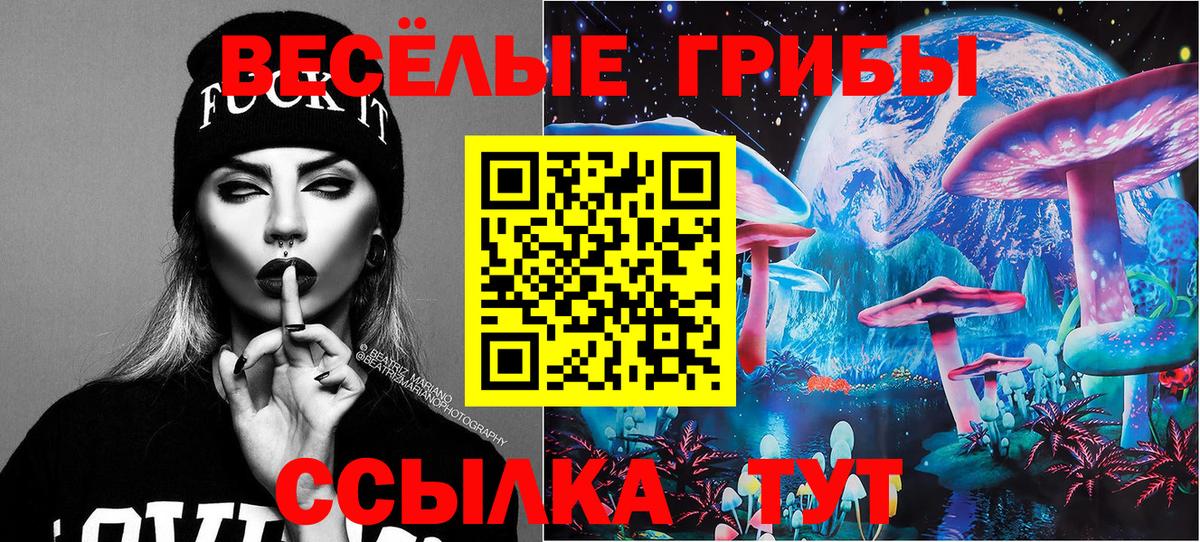 Дербент  Галлюциногенные грибы Psilocybine cubensis  Вход с VPN 