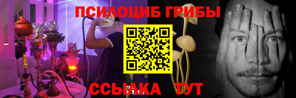 Галлюциногенные грибы мицелий Дербент